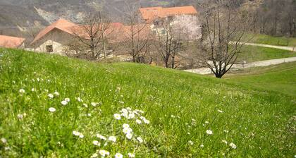 Azienda Agrituristica Lavagè