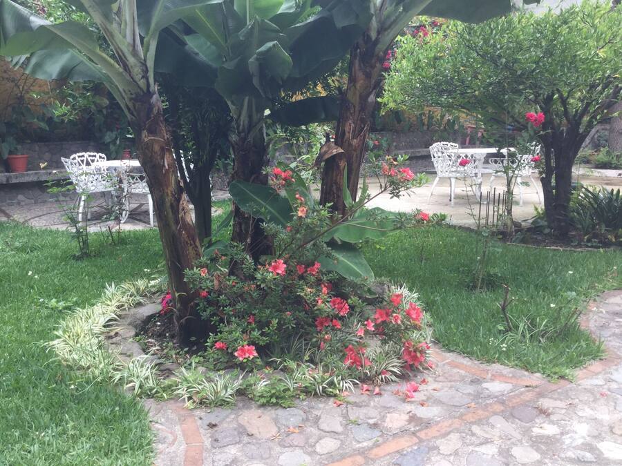 Un jardín con senderos de piedra, césped verde y plantas en flor.