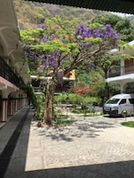 Un patio con un árbol que tiene flores moradas, una camioneta blanca y un edificio con tejado de baldosas.