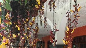 A corridor with hanging floral decorations and a central drainage grate. - Posada de Don Jose (Panajachel)