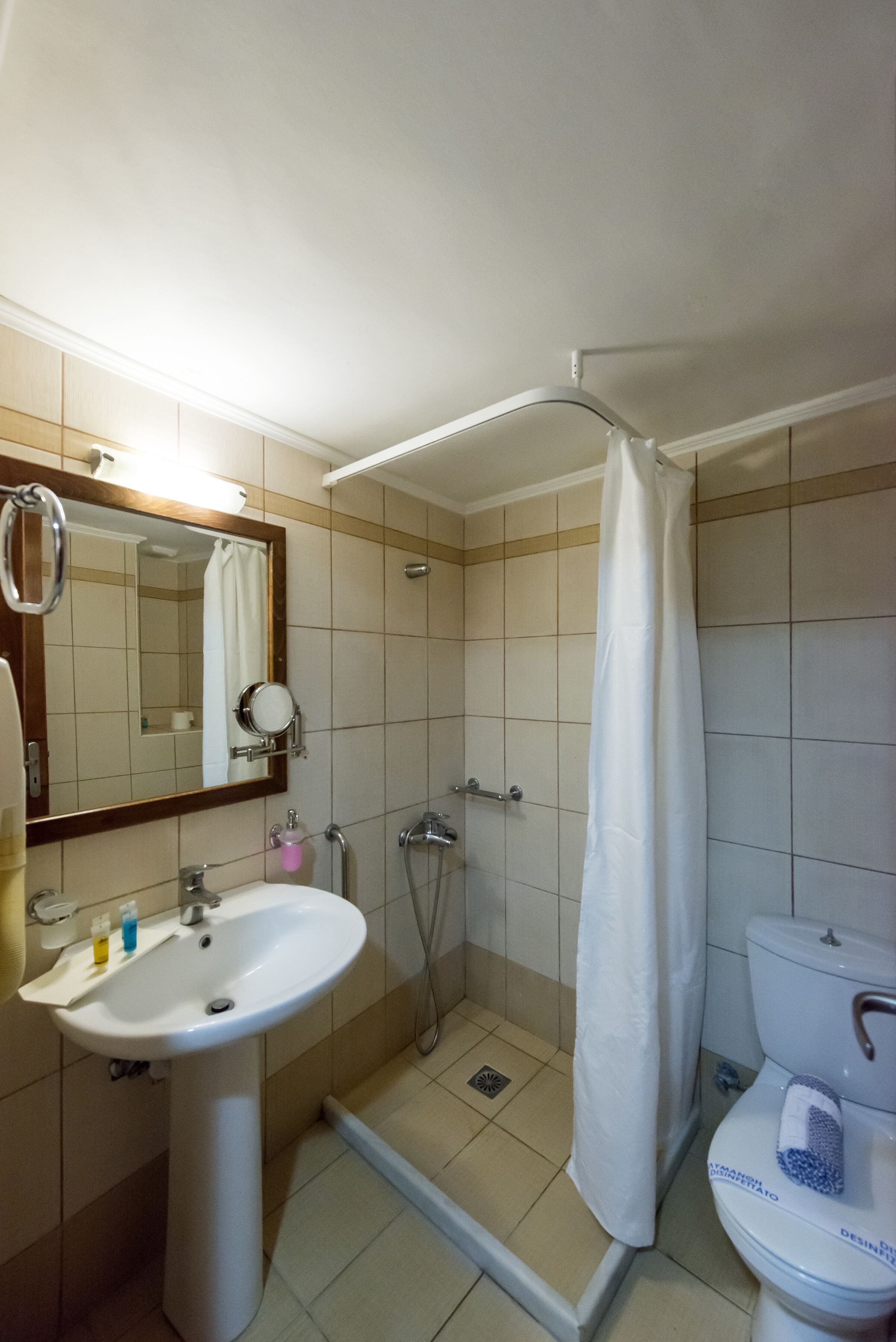 A bathroom with a sink, mirror, shower, and toilet.