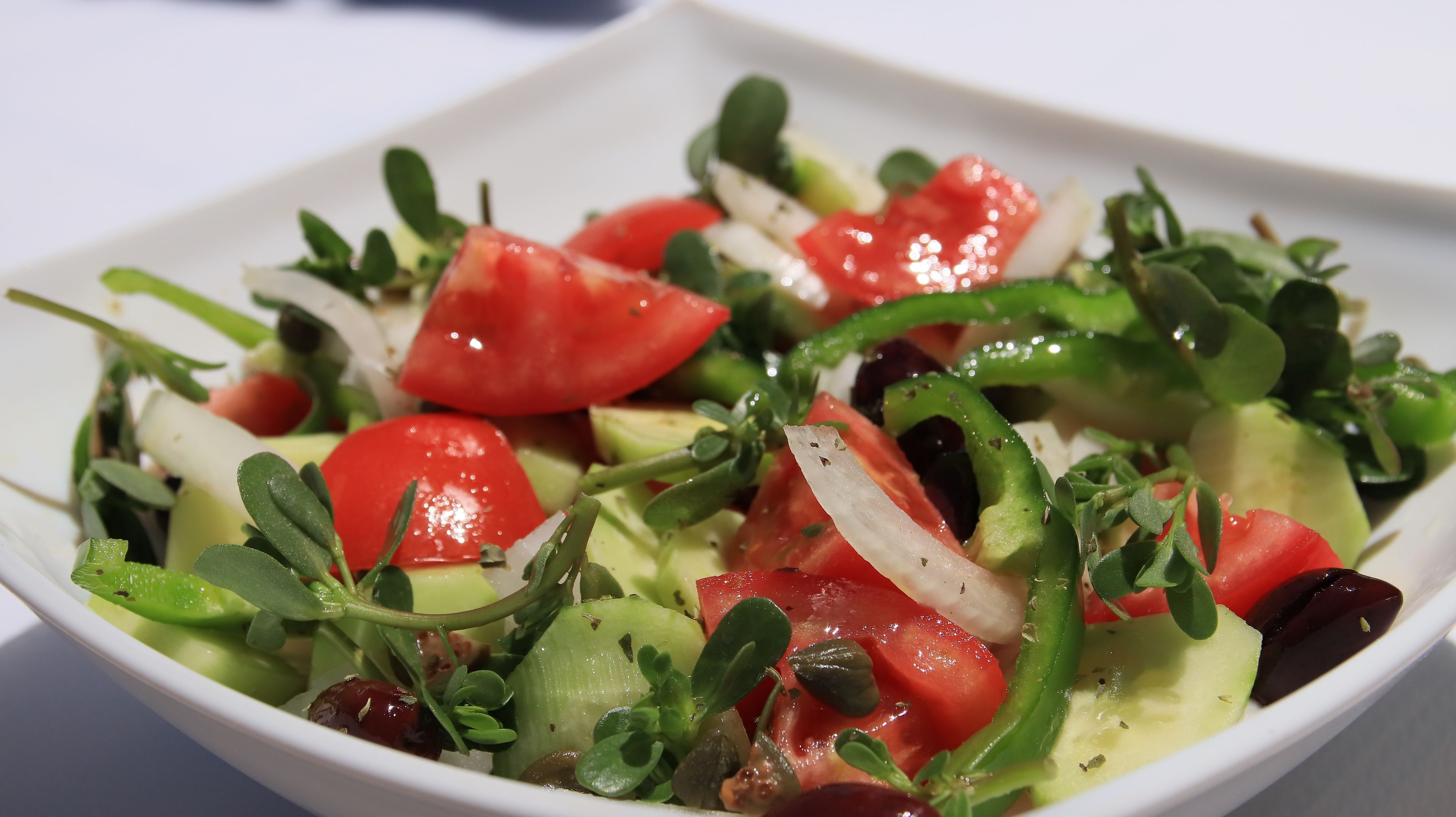 Un piatto quadrato bianco con un'insalata di pomodori, cetrioli, peperoni verdi ed erbe aromatiche.