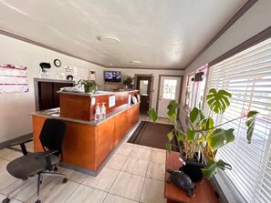 En reception med en computer, et ur og et fjernsyn. Der er stole og en plante.