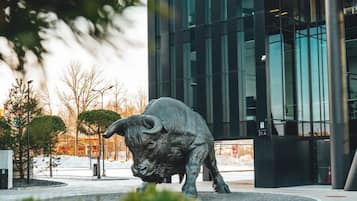 Khuôn viên nơi lưu trú