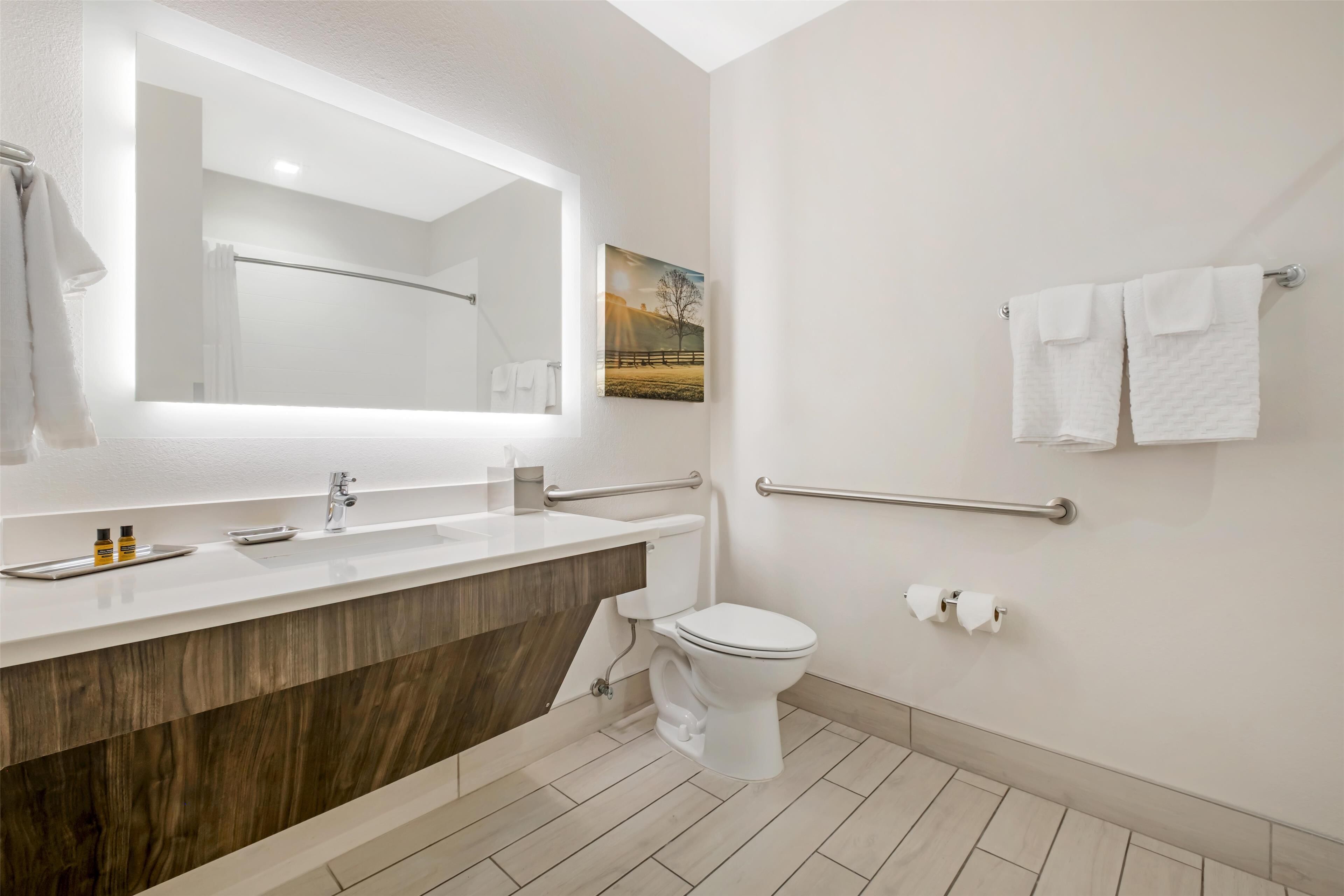Un baño moderno con tocador de madera, un espejo grande, un inodoro y un pasamanos.