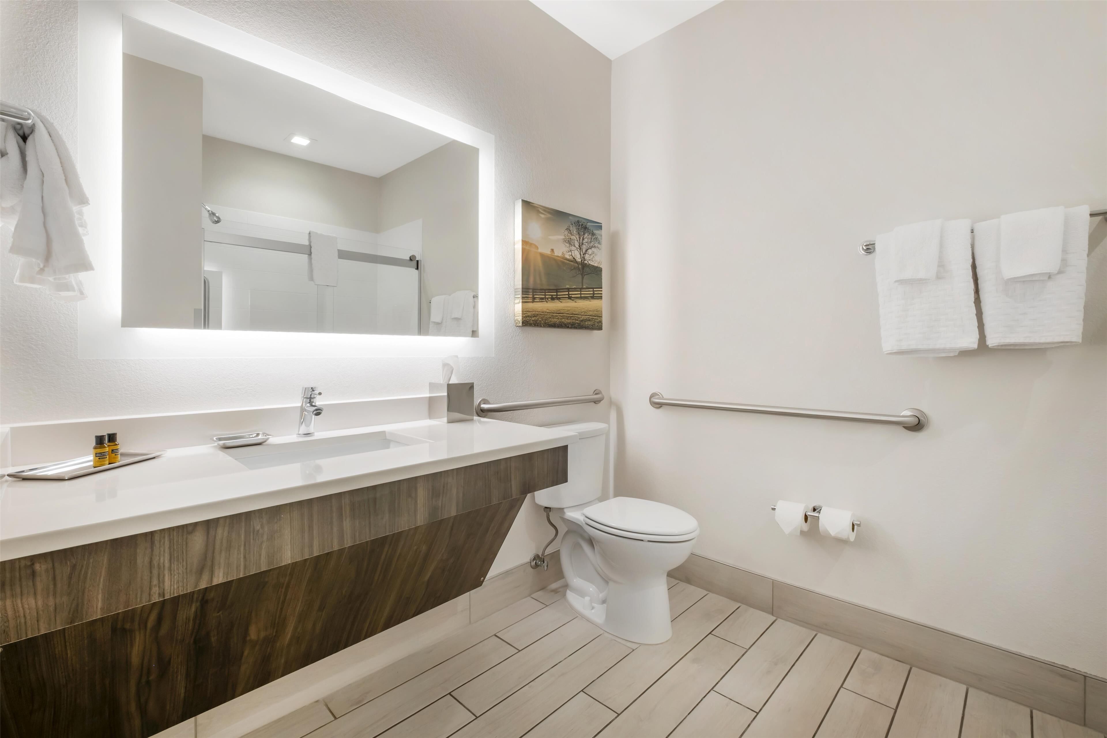 A modern bathroom with a white vanity, a large mirror, a toilet, and a handrail.