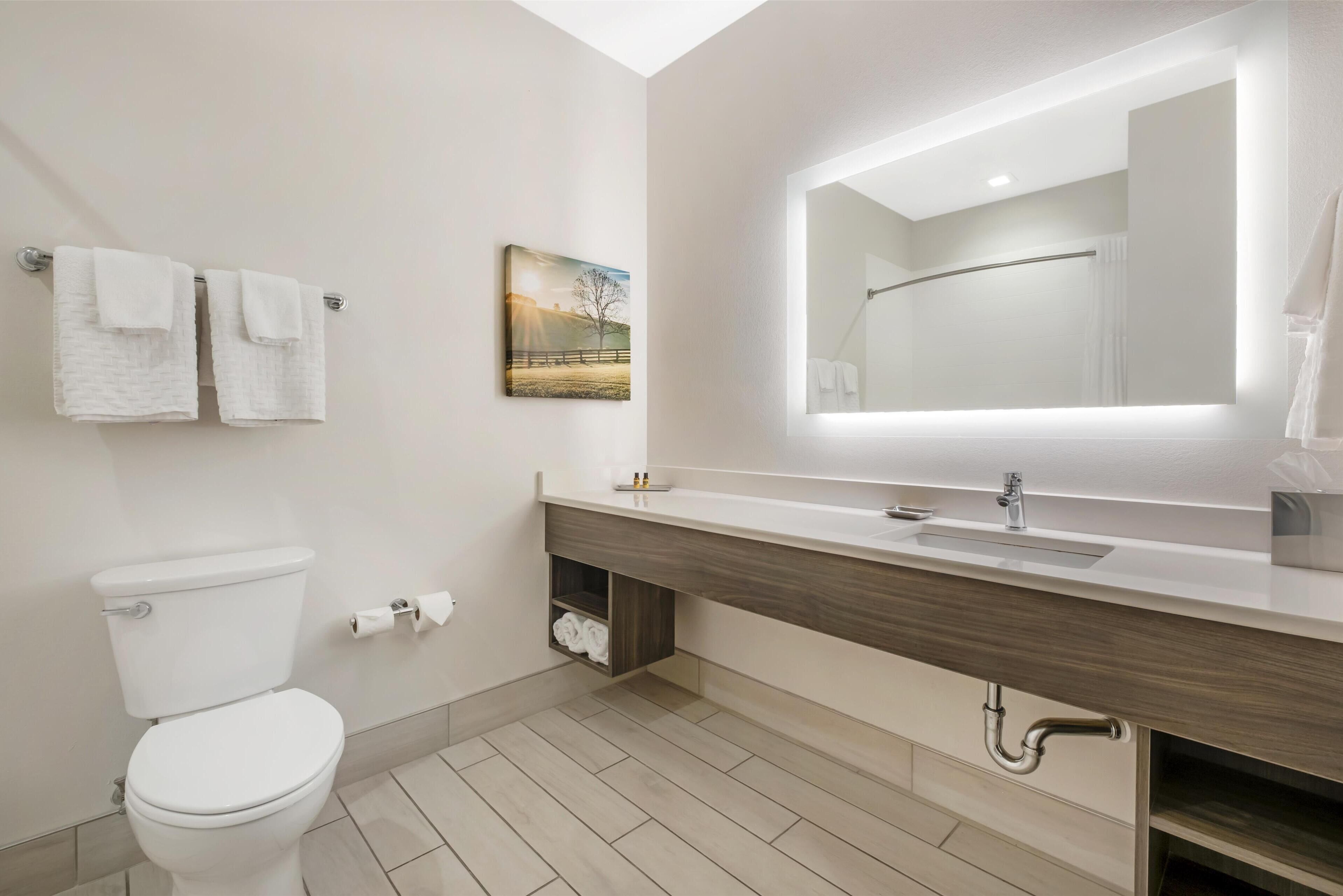 Un baño moderno con inodoro, lavabo con espejo y barra para toallas.