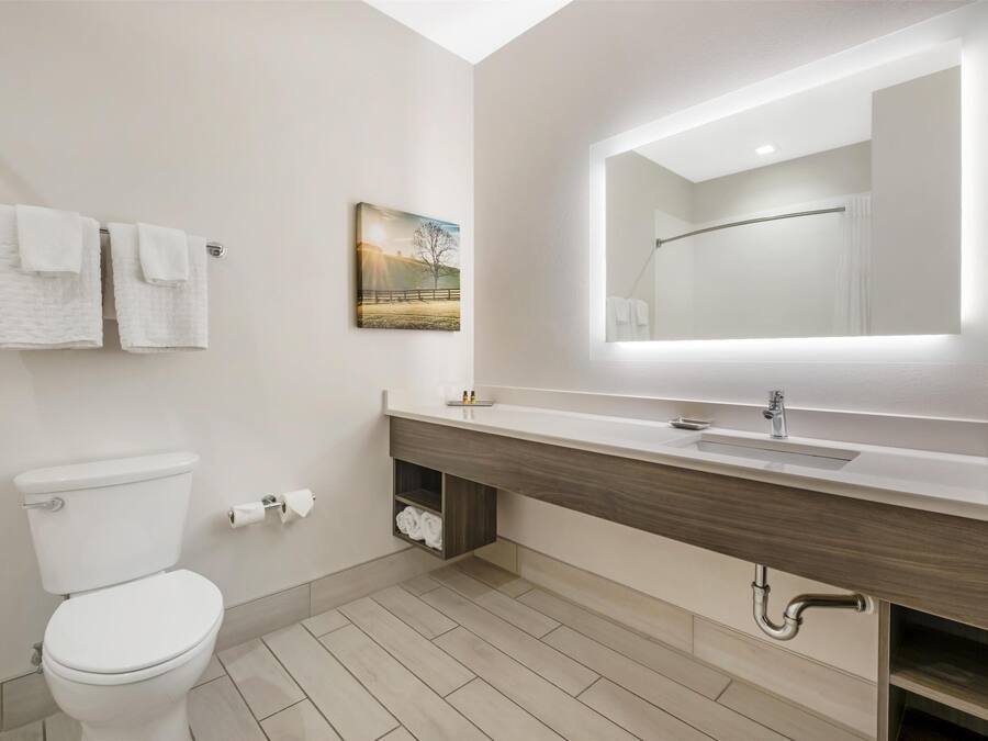 Un baño moderno con inodoro, lavabo con espejo y barra para toallas.