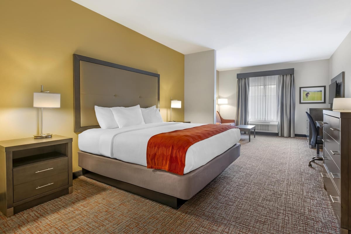 A hotel room with a large bed, a desk, a chair, a TV, and a window with curtains.