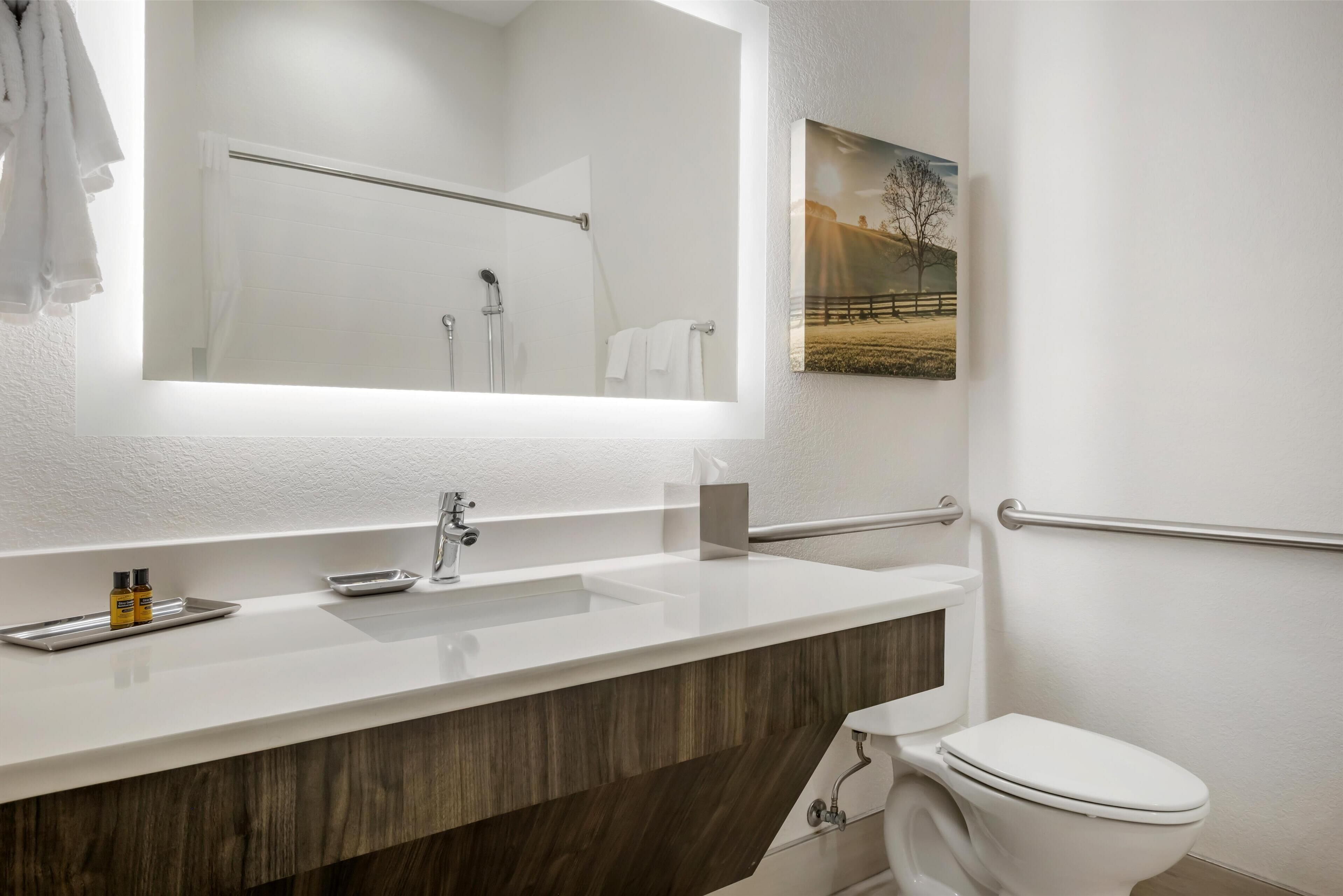 standard room, 1 king bed, accessible, refrigerator | bathroom | free toiletries, hair dryer, towels