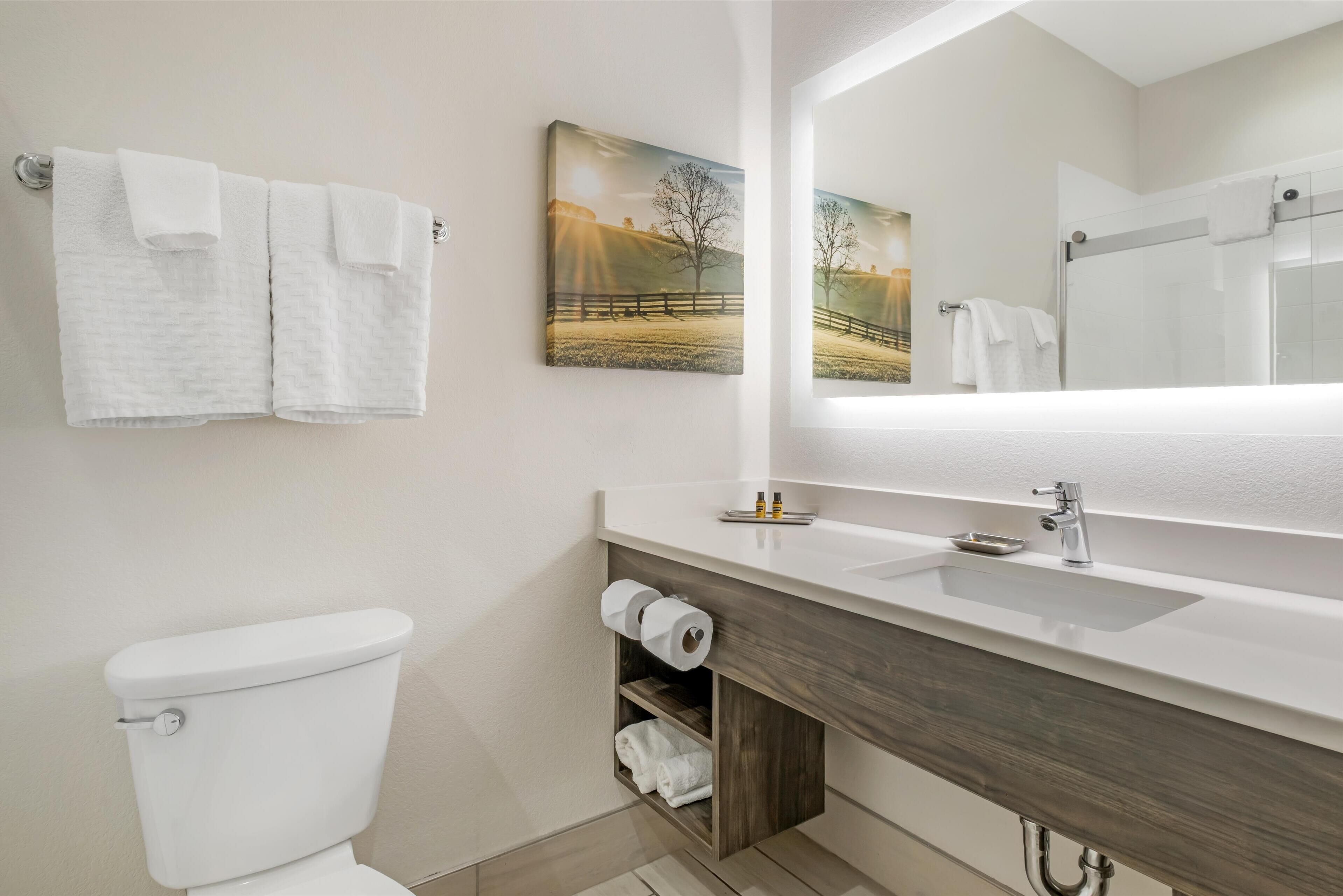 suite, 1 king bed, non smoking, refrigerator (with single sofabed) | bathroom | free toiletries, hair dryer, towels