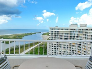 Apartment, 1 King-Bett und Schlafsofa (Beachfront penthouse with spectacular) | Balkon