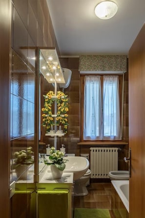 Douche, douche à « effet pluie », sèche-cheveux, bidet