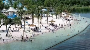 Una playa con palmeras, sombrillas y gente.