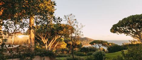 Un paisaje sereno con un edificio parcialmente oculto por la vegetación, un cielo despejado y una vista distante del mar.
