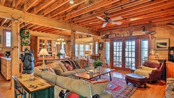 TV, fireplace, books