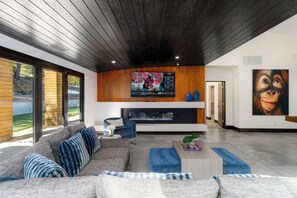 TV, fireplace, video games, Netflix