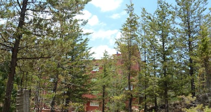 Hotel Gold