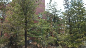 A building with a red facade and multiple windows, surrounded by trees.