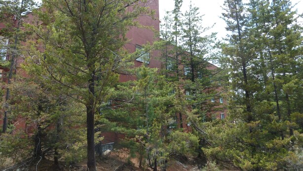 A building with a red facade and multiple windows, surrounded by trees.