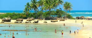 A beach with clear water, palm trees, and people swimming and walking on the sand.
