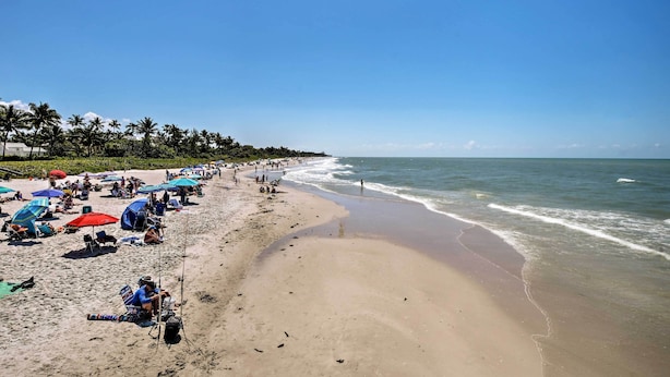 A beach with rows of umbrellas and beach chairs, a sandy shore, and the ocean. - Naples Studio: 1 Block to Beach & Restaurants! (Naples)