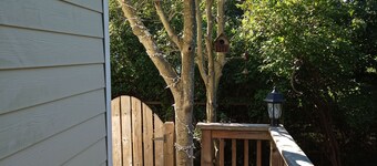 Fire Island / Ocean Bay Park