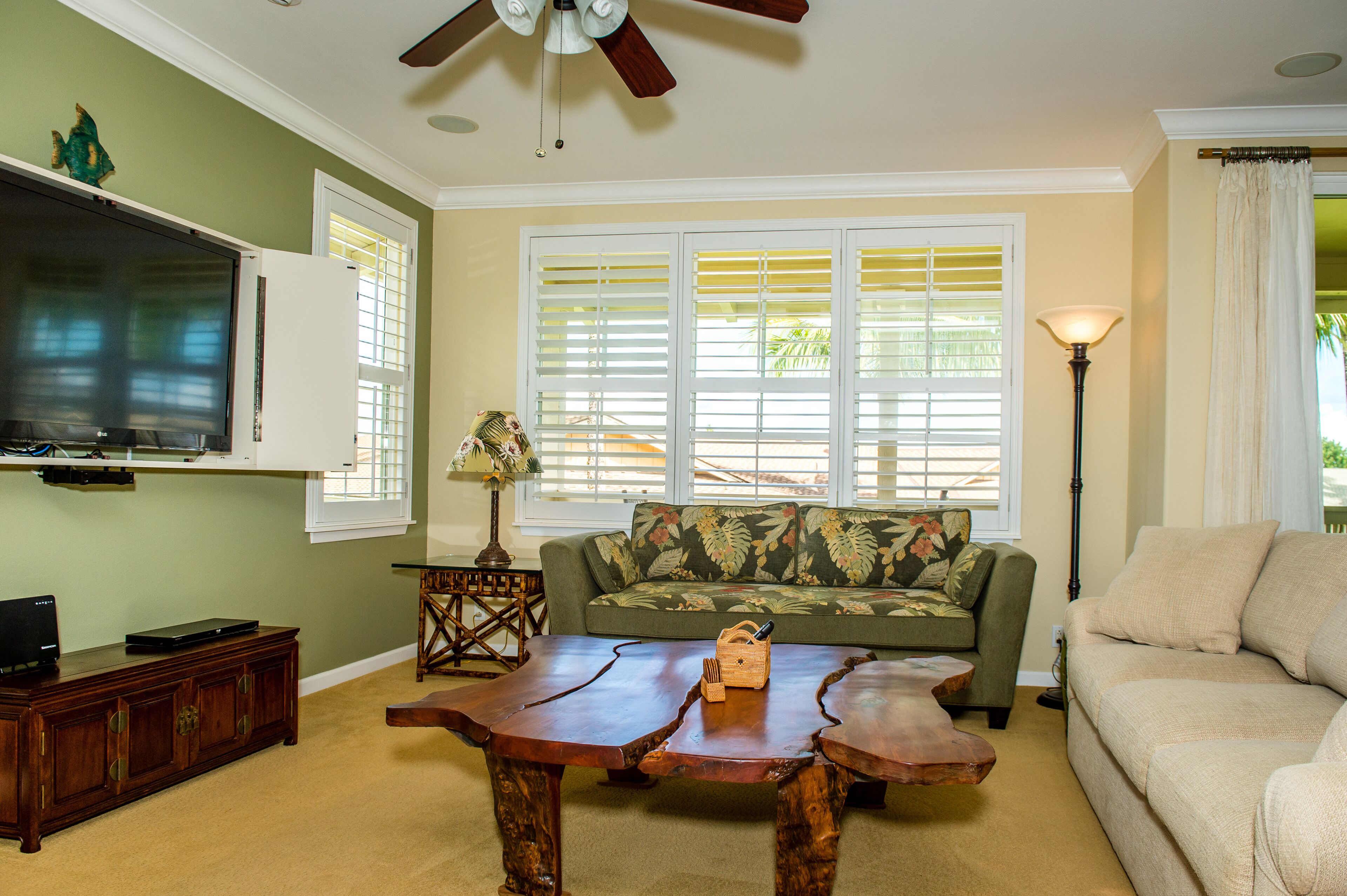 Smart TV, DVD player