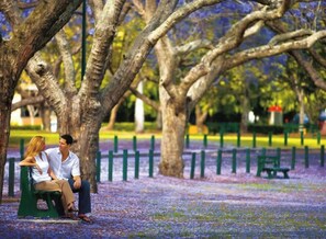 المنطقة المحيطة بالمنشأة