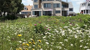 A multi-story house with a large front porch and a garden filled with various flowers.