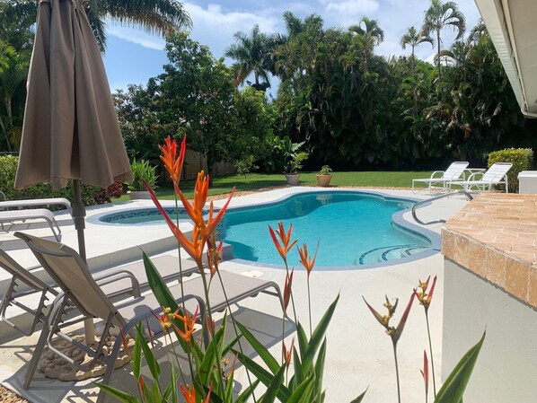 A heated pool - Park Shore Paradise- Naples Florida (Naples)