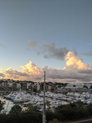 Stunning marina views with boats docked in calm waters, surrounded by residential and commercial buildings.