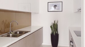 Eine moderne Küche mit einem Edelstahlspülbecken, einer Topfpflanze und einem gerahmten Bild an der Wand.