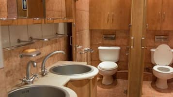 Combined shower/tub, jetted tub, hair dryer, bidet