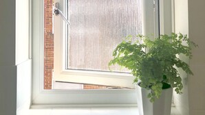 A window with a white frame, a closed door, and a potted plant on the windowsill. - ‘Waterside’ is a 1st floor apartment  on the river in Rye, East Sussex (Rye, East Sussex)