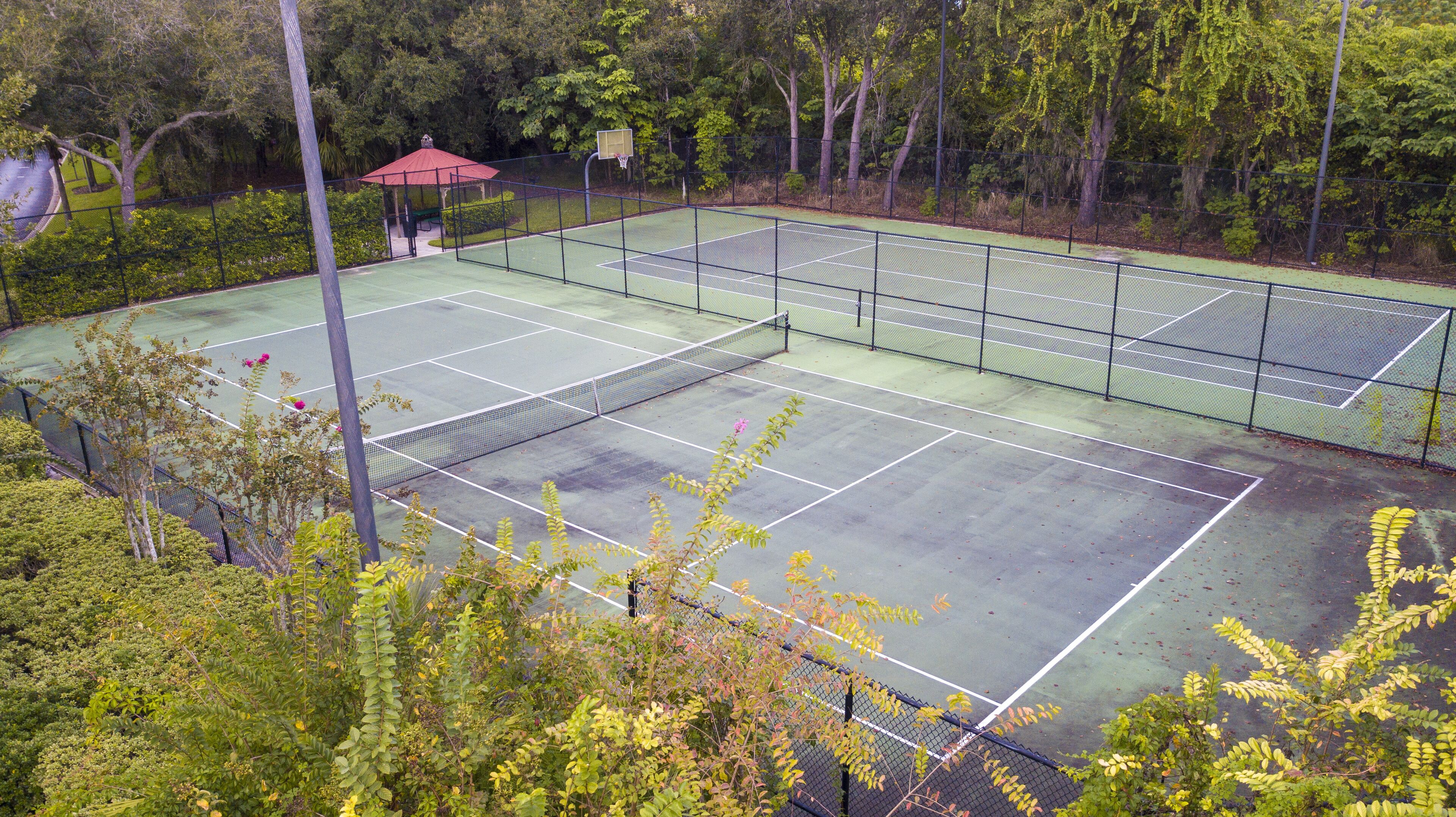 A tennis court surrounded by trees.