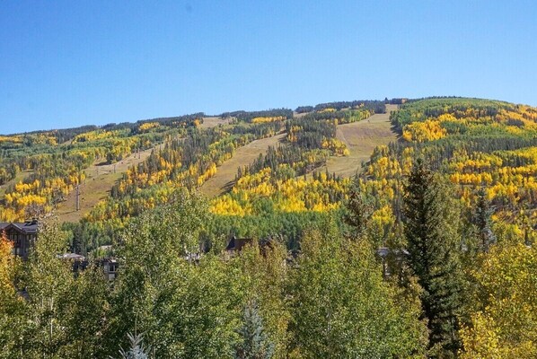 Un paysage montagneux aux couleurs automnales, avec des maisons disséminées sur les collines et un ciel bleu dégagé.