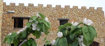 Cottage (location complète) Turismo Rural Santa Lucía pour 4 personnes