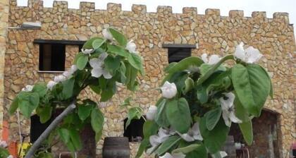 Cottage (full rental) Turismo Rural Santa Lucía for 4 people