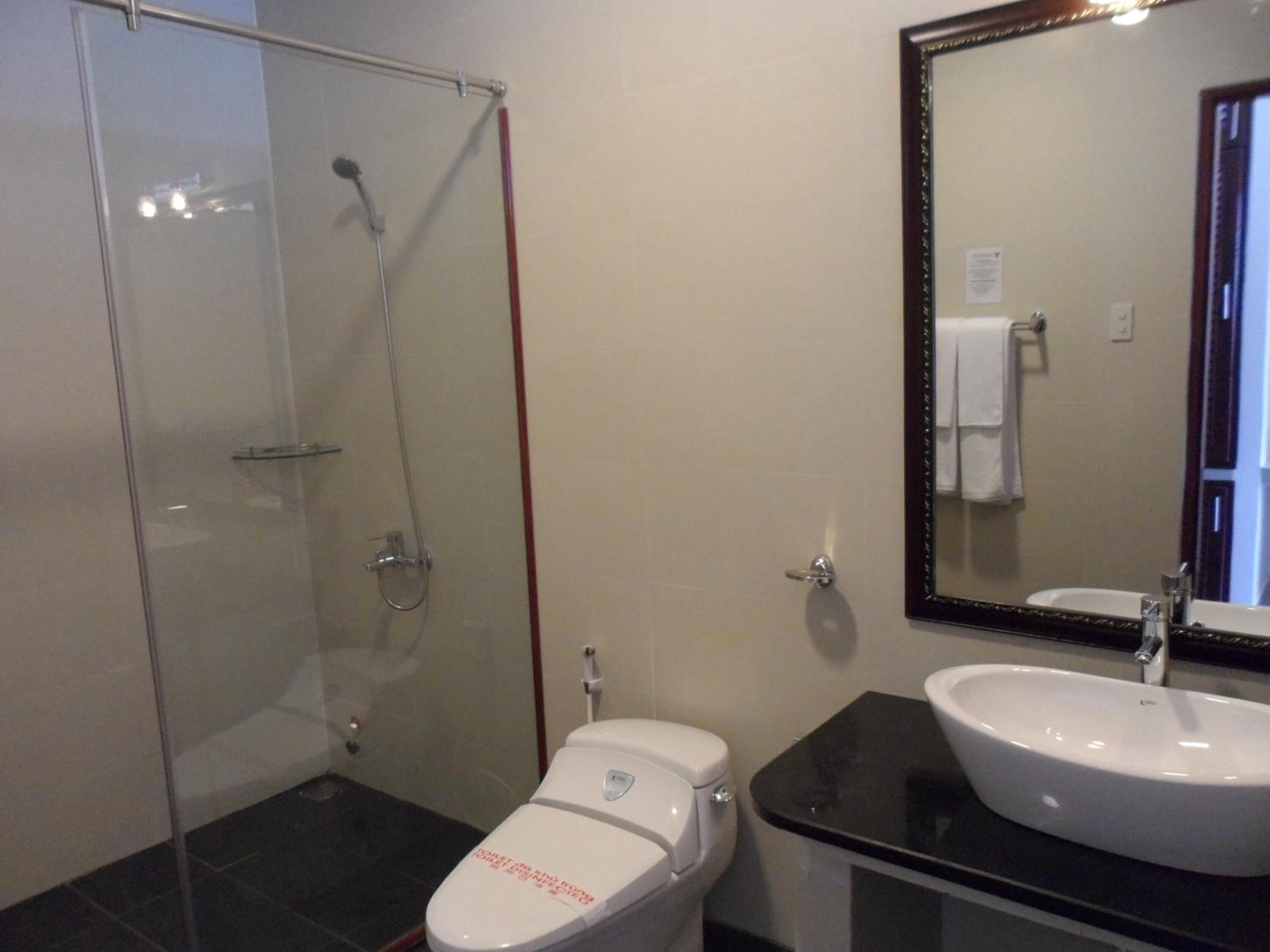 Une salle de bain avec une douche à parois de verre, des toilettes blanches et un lavabo noir avec un miroir au-dessus.