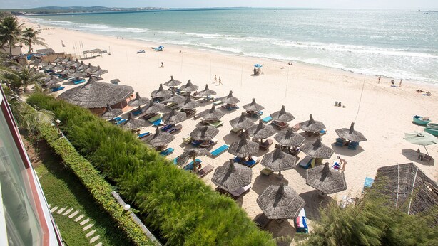 Una playa con hileras de sombrillas de paja y sillas de descanso, una orilla arenosa y el océano al fondo.