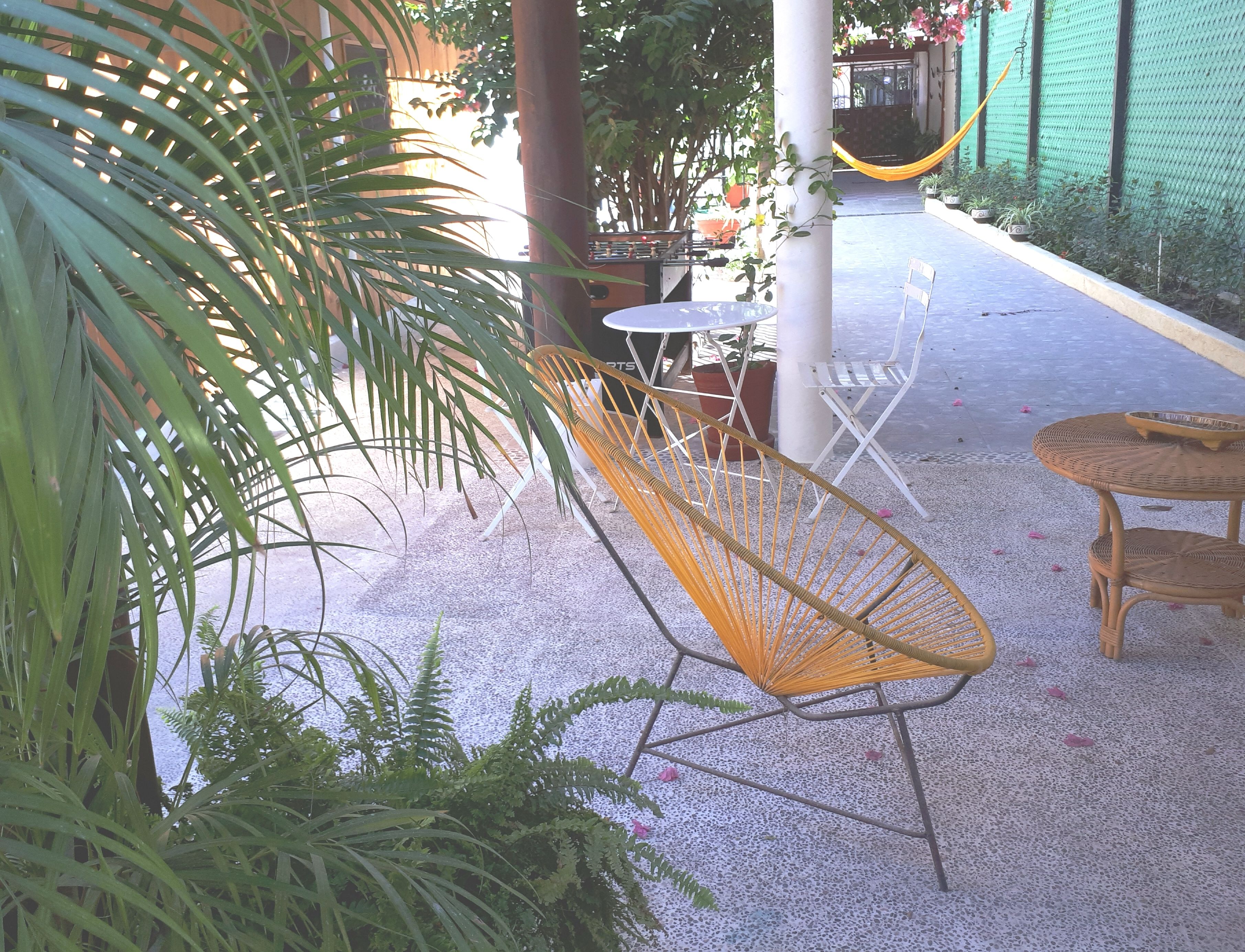Vườn