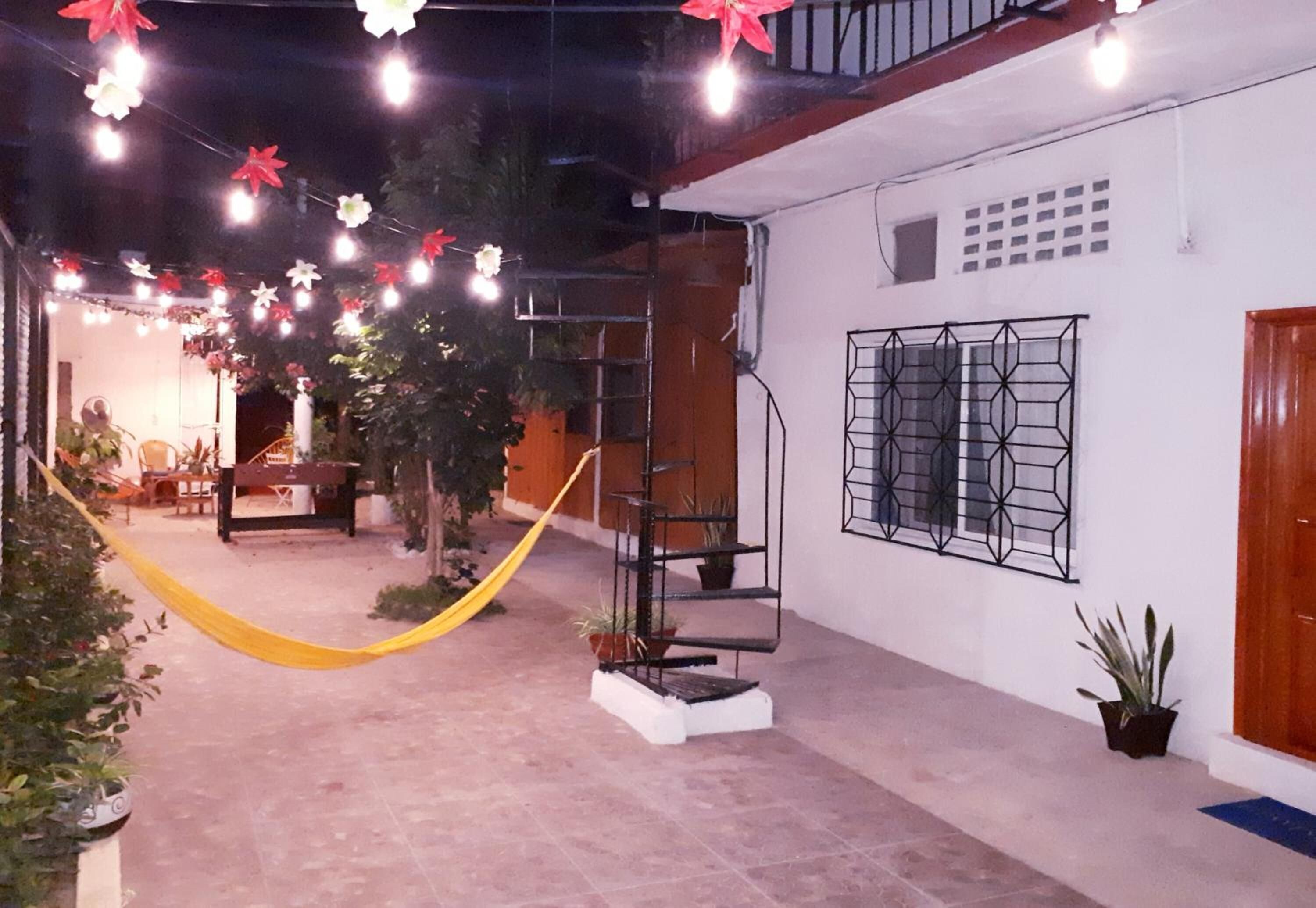 Un patio con una hamaca, plantas en macetas, una escalera y luces colgantes.