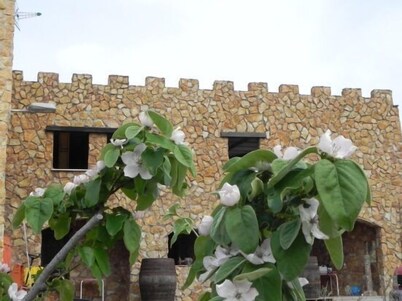 Rural house (full rental) Turismo Rural Santa Lucía for 4 people