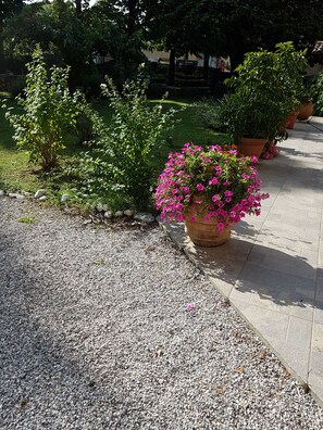 Terrain de l’hébergement 