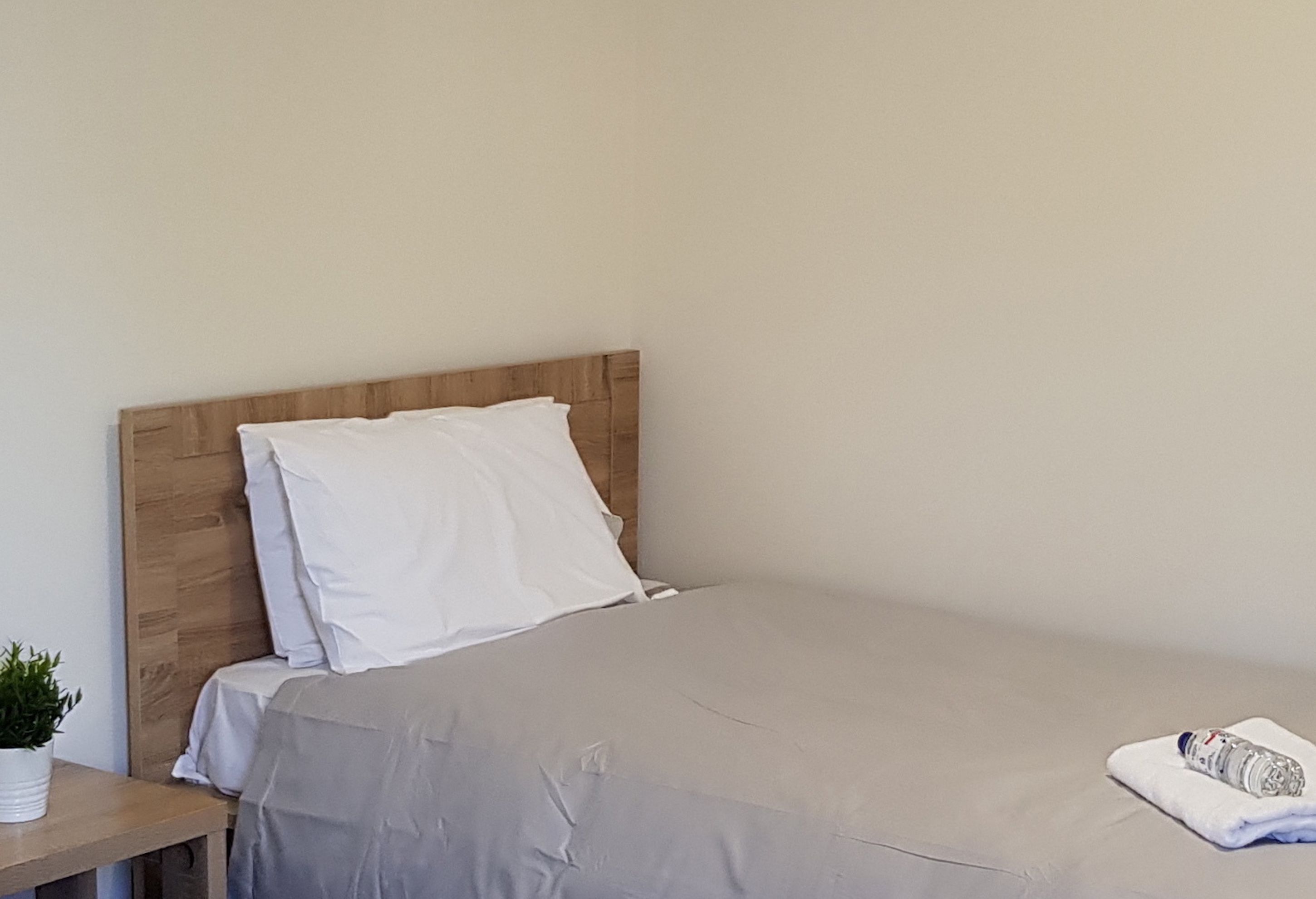A single bed with a wooden headboard, a grey bedspread, and a white pillow. A small potted plant is on a wooden nightstand beside the bed.