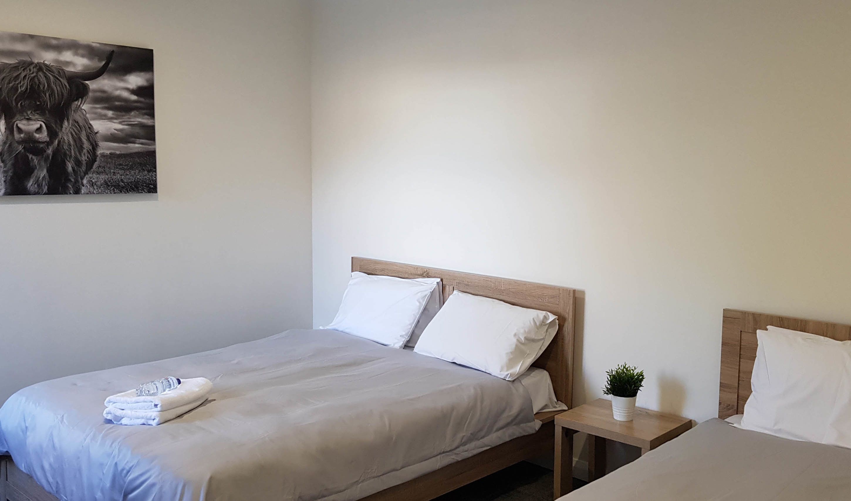 Un dormitorio con una cama individual, una mesita de noche con una planta y un cuadro de un toro en la pared.