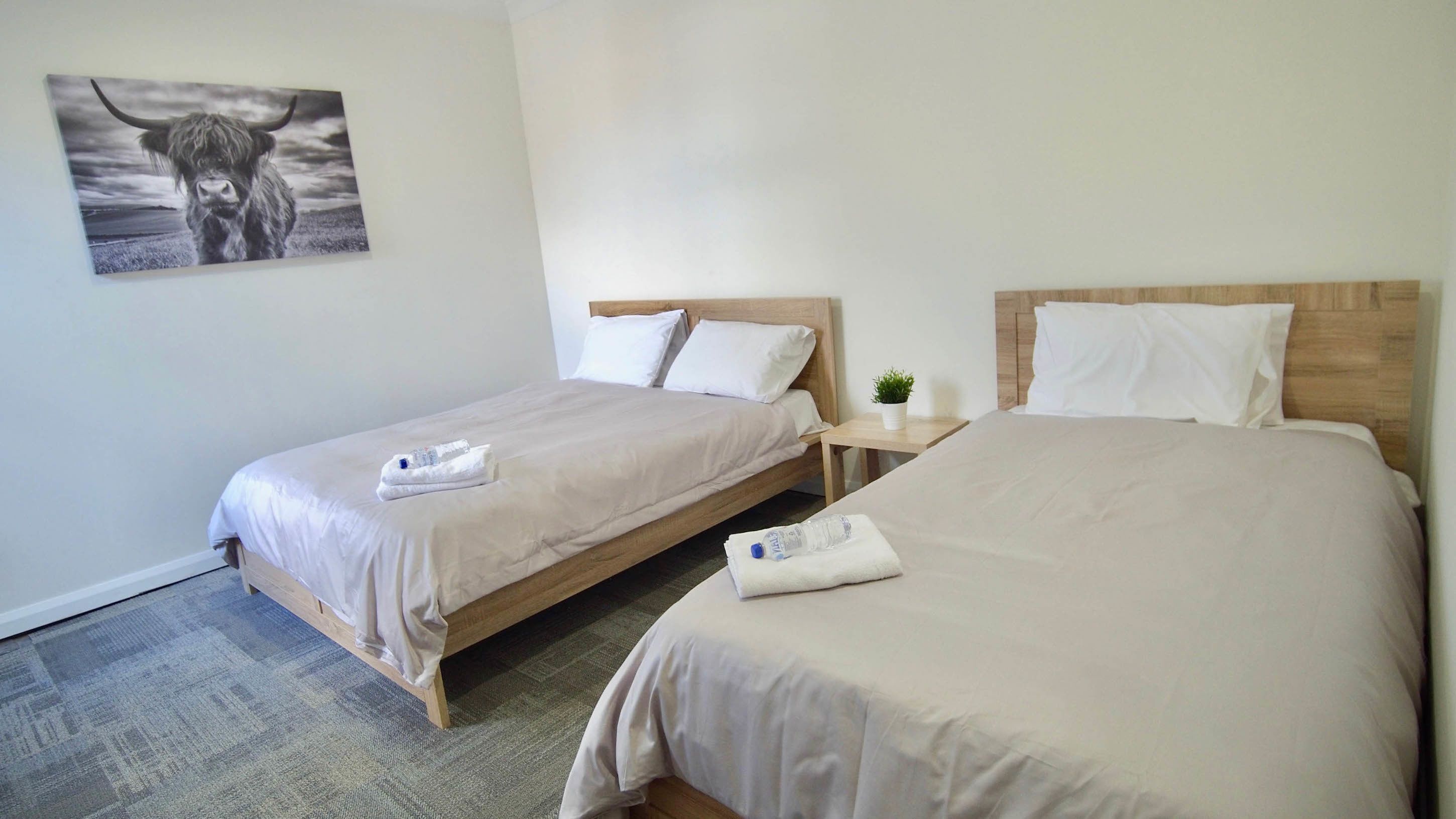 A hotel room with two single beds, a wooden headboard, a small bedside table with a plant, and a wall-mounted picture of a bull.