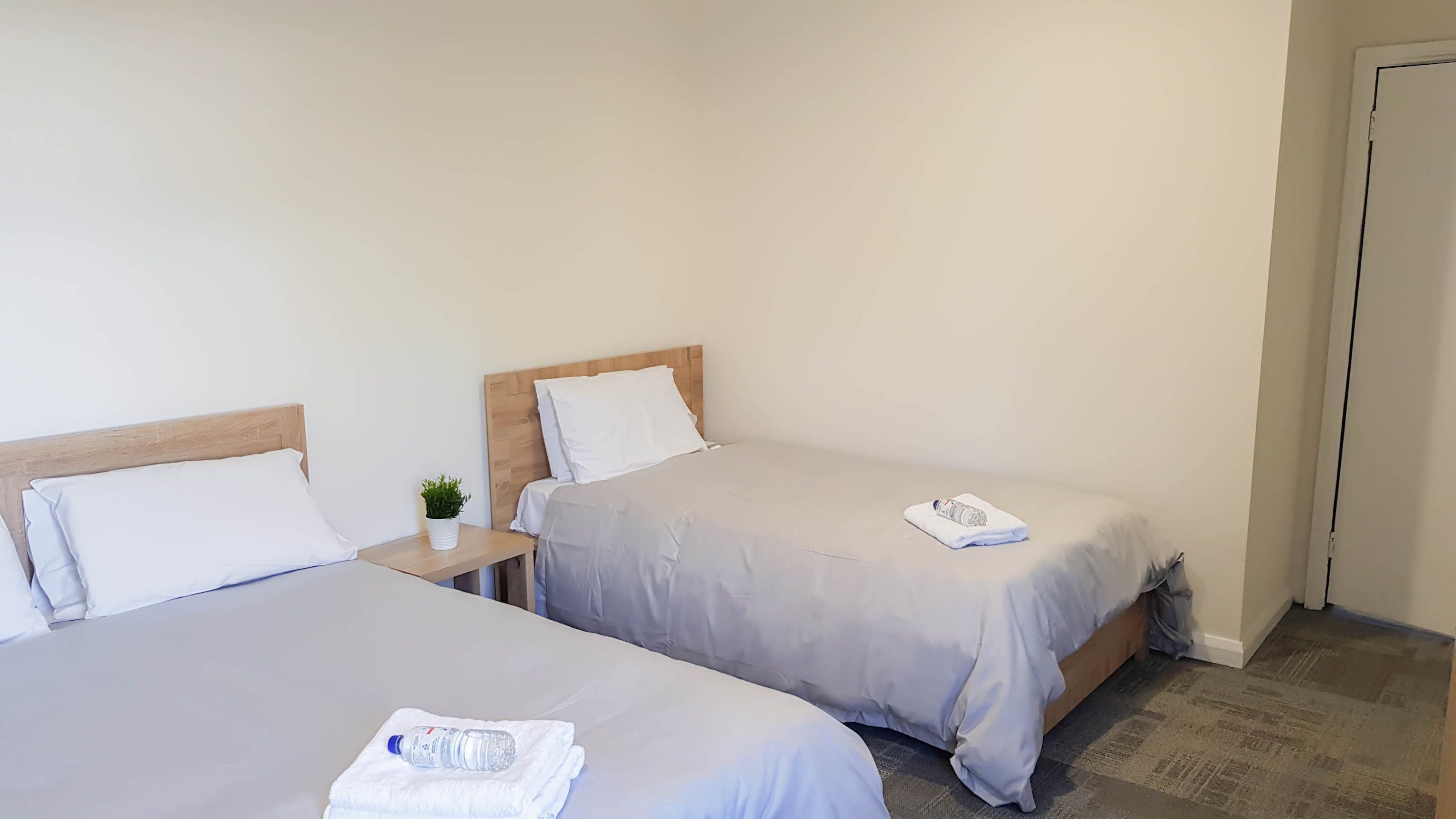 Una habitación de hotel con dos camas individuales, una mesita de noche con una planta y una puerta.