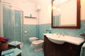 Shower, hair dryer, bidet, towels